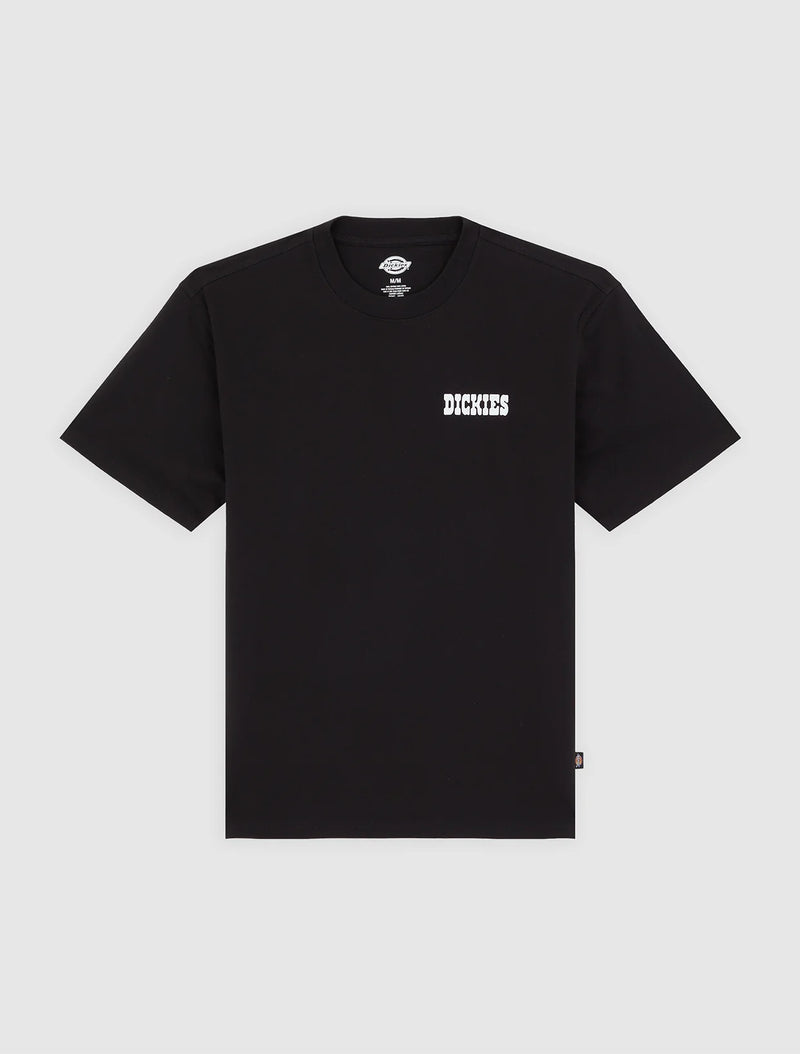 Load image into Gallery viewer, Dickies Men's Plain City Light Weight T-Shirt Black DK0A88JIBLK1
