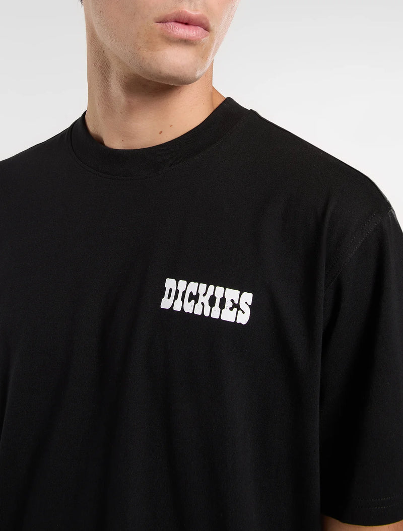 Load image into Gallery viewer, Dickies Men's Plain City Light Weight T-Shirt Black DK0A88JIBLK1
