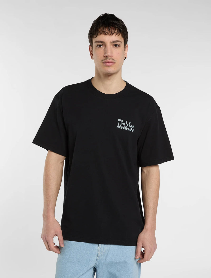 Load image into Gallery viewer, Dickies Men's Vernal Mid Weight T-Shirt Black DK0A88JVBLK1

