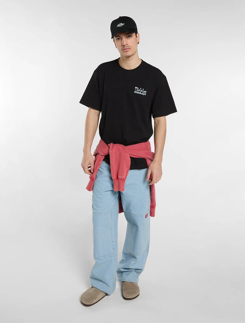 Load image into Gallery viewer, Dickies Men's Vernal Mid Weight T-Shirt Black DK0A88JVBLK1
