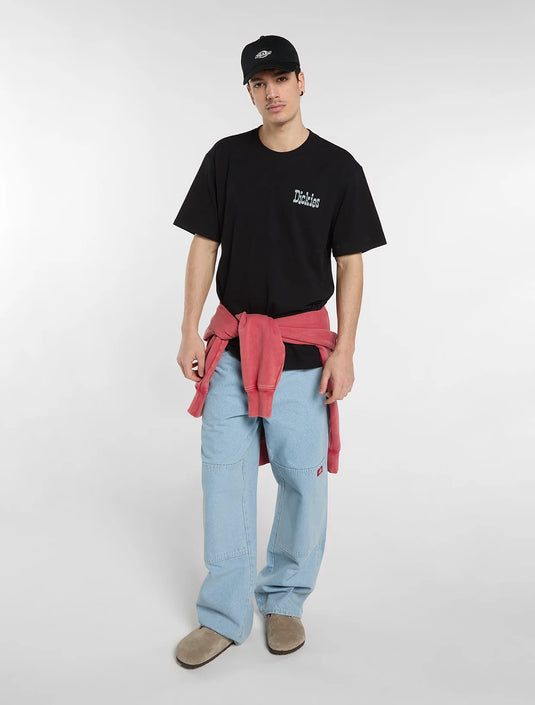 Dickies Men's Vernal Mid Weight T-Shirt Black DK0A88JVBLK1