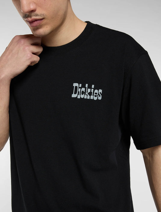 Dickies Men's Vernal Mid Weight T-Shirt Black DK0A88JVBLK1