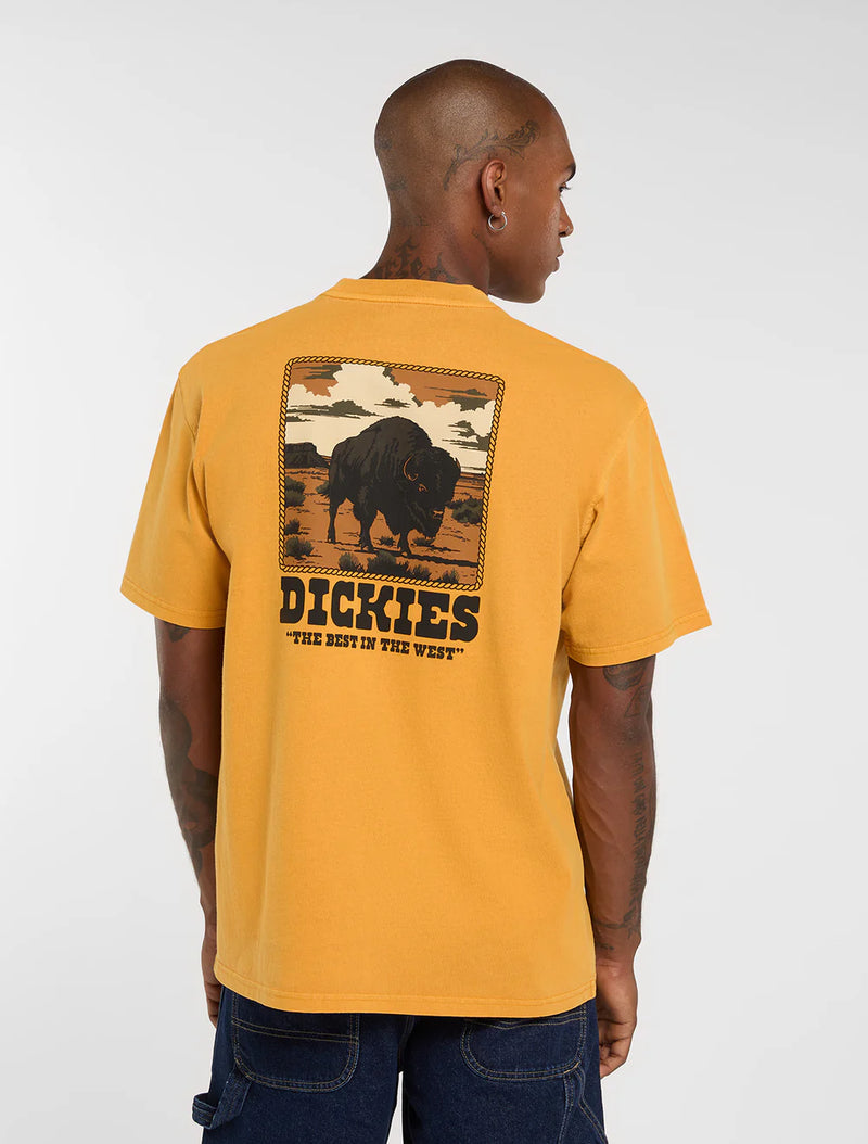 Load image into Gallery viewer, Dickies Men's Darrtown Midweight T-shirt Sunflower DK0A88QQSOR
