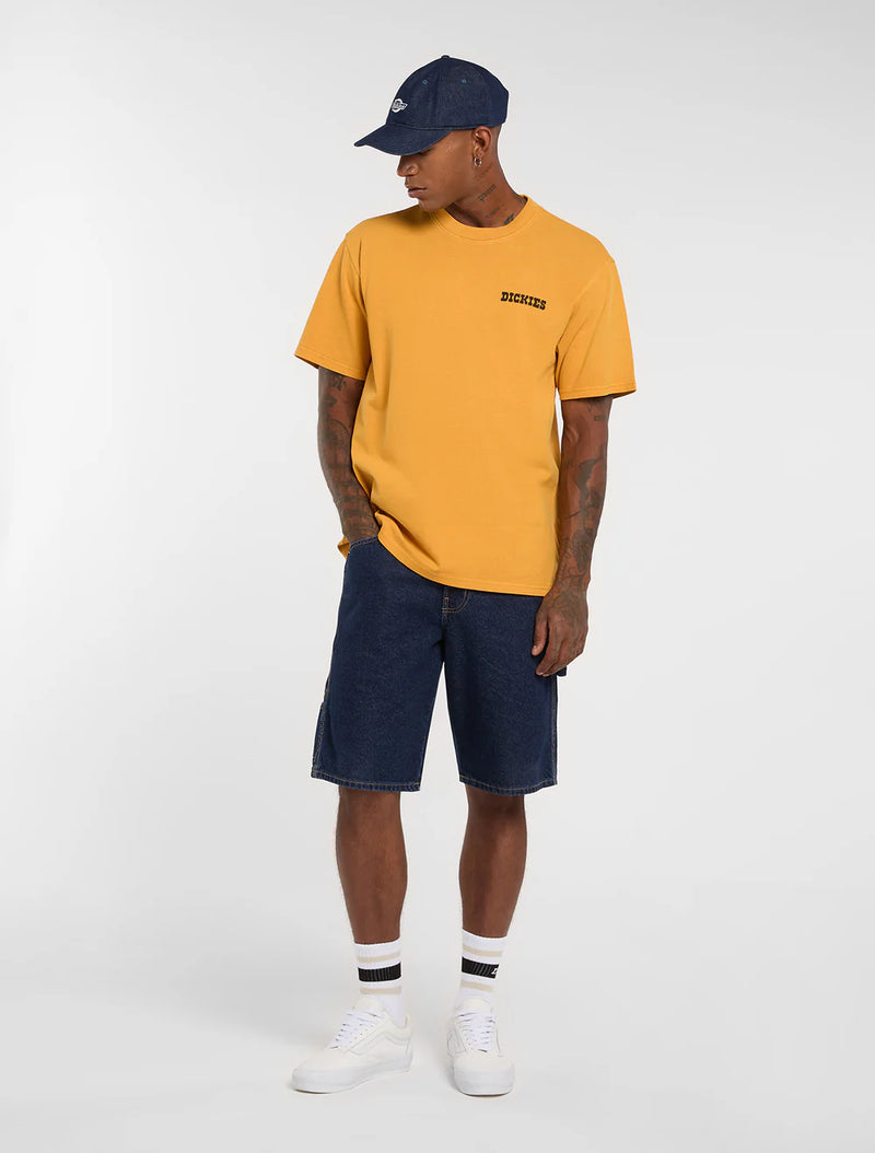 Load image into Gallery viewer, Dickies Men's Darrtown Midweight T-shirt Sunflower DK0A88QQSOR
