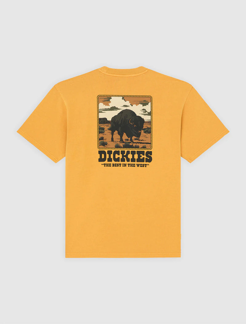 Load image into Gallery viewer, Dickies Men's Darrtown Midweight T-shirt Sunflower DK0A88QQSOR
