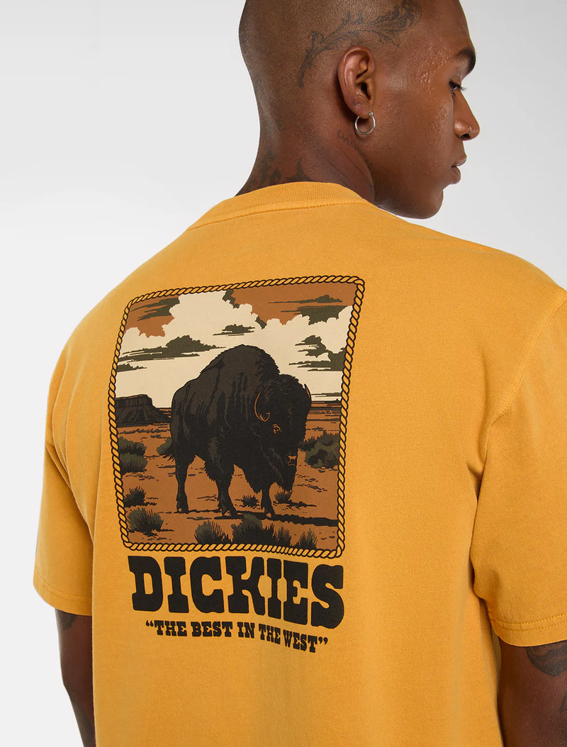 Load image into Gallery viewer, Dickies Men's Darrtown Midweight T-shirt Sunflower DK0A88QQSOR
