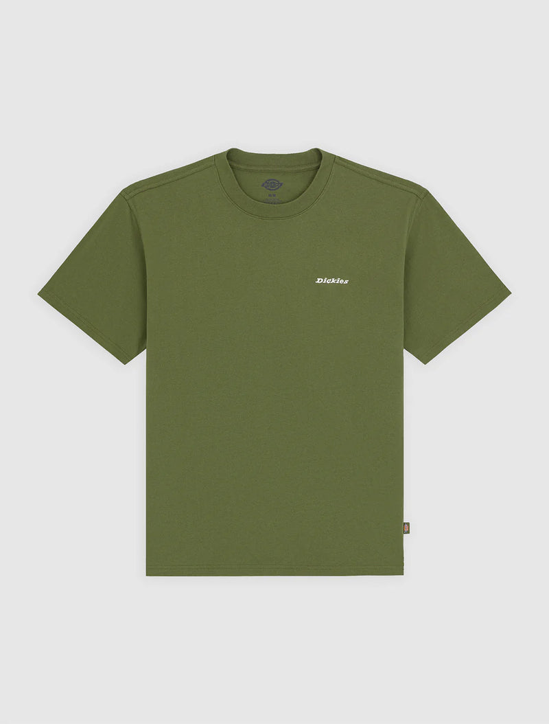 Load image into Gallery viewer, Dickies Men's Loretto Midweight T-Shirt Cypress DK0A89ENK72
