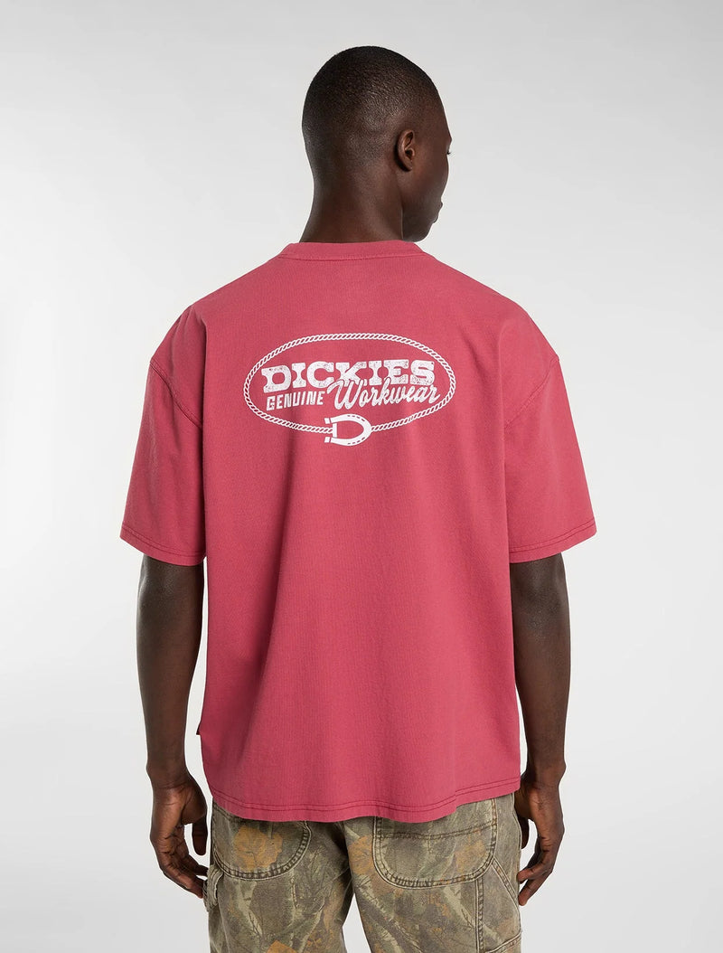 Load image into Gallery viewer, Dickies Men's Avondale Midweight T-Shirt Red DK0A8CD4L811
