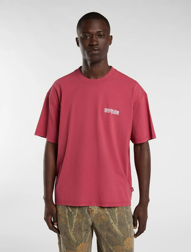 Load image into Gallery viewer, Dickies Men's Avondale Midweight T-Shirt Red DK0A8CD4L811
