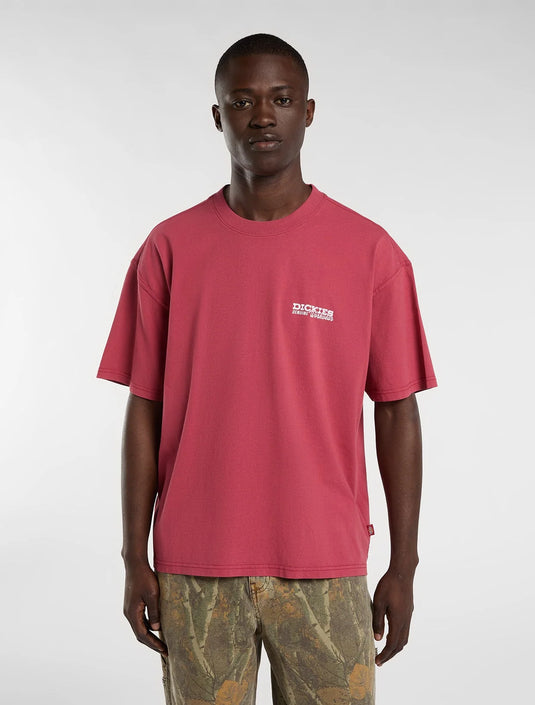 Dickies Men's Avondale Midweight T-Shirt Red DK0A8CD4L811