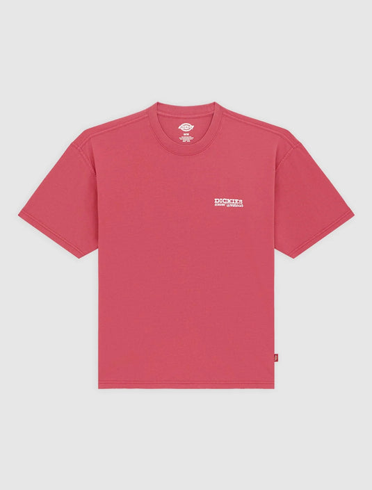 Dickies Men's Avondale Midweight T-Shirt Red DK0A8CD4L811