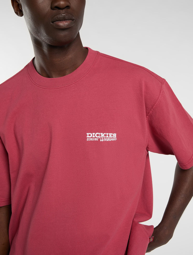 Load image into Gallery viewer, Dickies Men's Avondale Midweight T-Shirt Red DK0A8CD4L811
