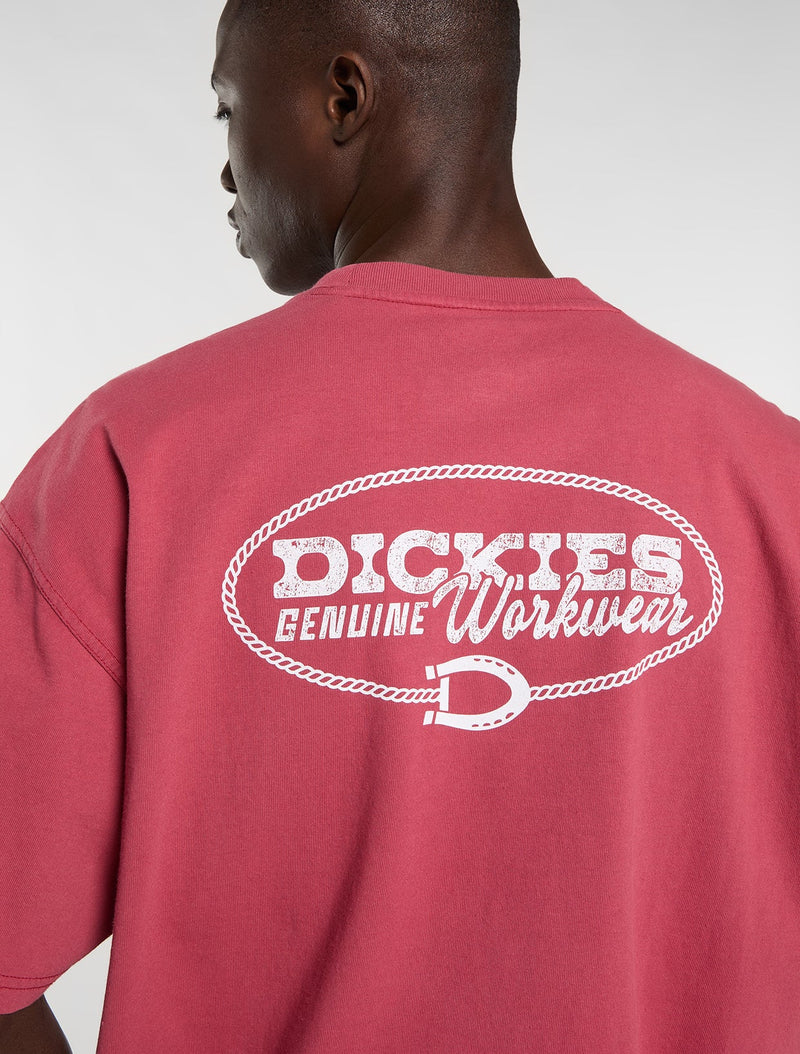 Load image into Gallery viewer, Dickies Men's Avondale Midweight T-Shirt Red DK0A8CD4L811
