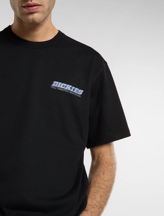 Dickies Men's Lakeridge Medium Weight T-Shirt Black DK0A8D3HBLK1