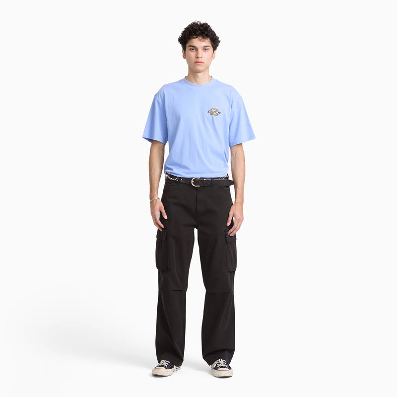 Load image into Gallery viewer, Dickies Men's 247 Loose Straight Garment Dyed Cargo Pants Black DK0A8E3PBLK
