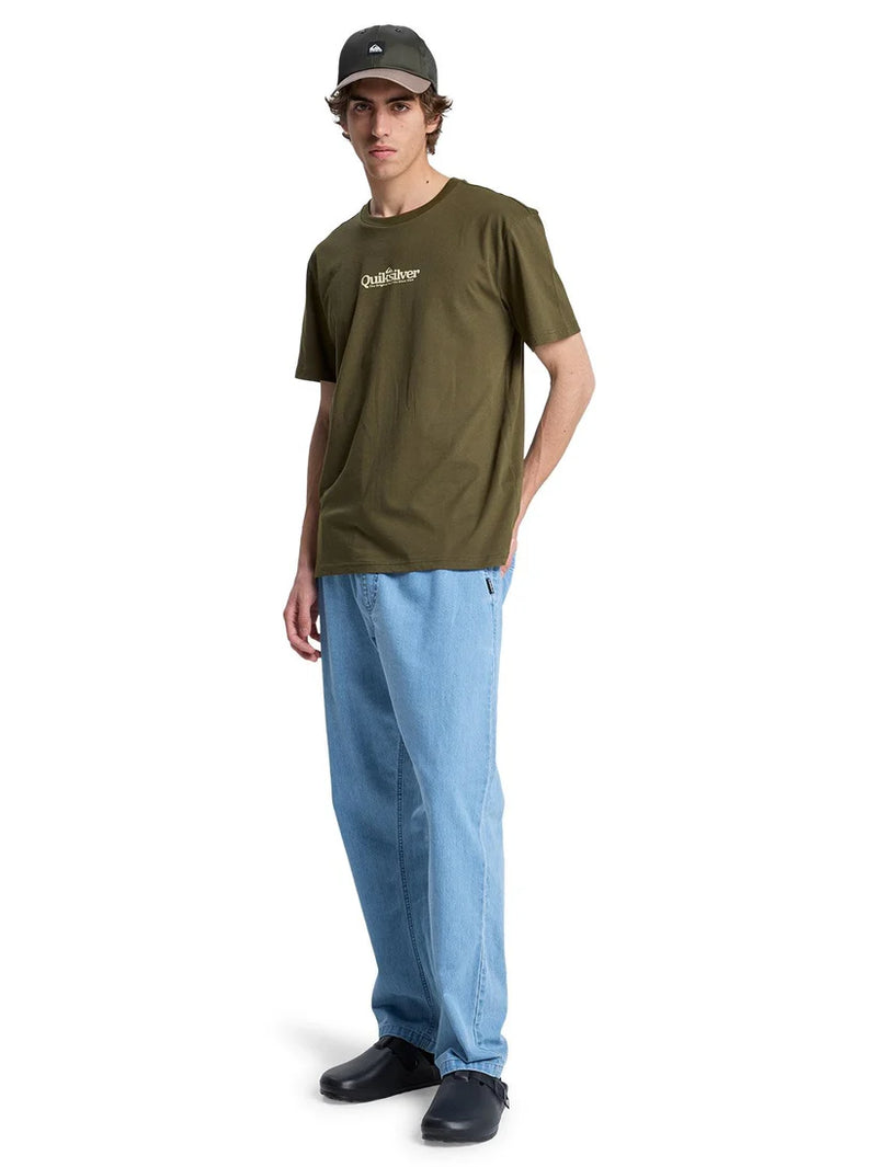 Load image into Gallery viewer, Quiksilver Men's Fineline T-Shirt Grape Leaf EQYZT08174-CRE0
