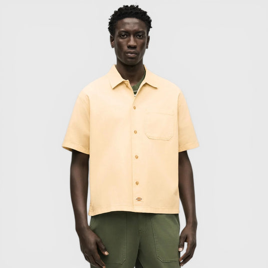Dickies Men's Vernal Short Sleeve Shirt Wood Ash DK0A88O8L17