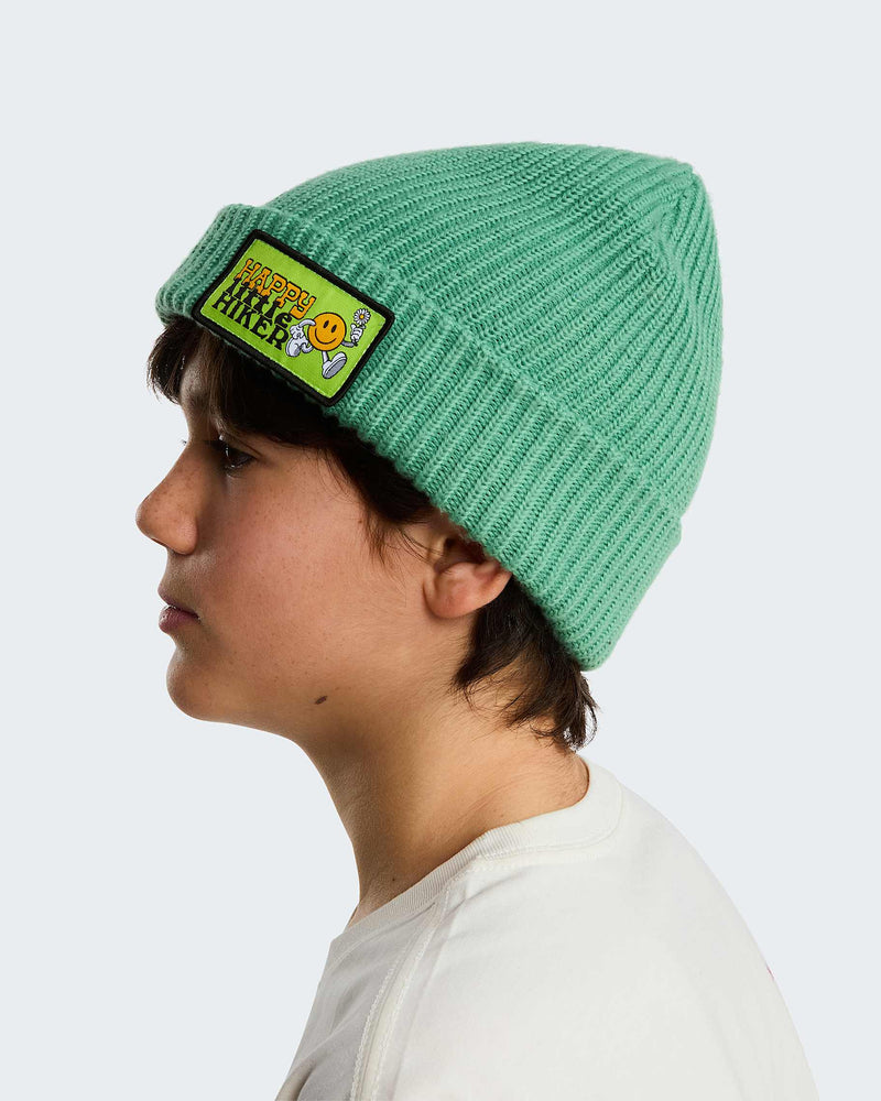 Load image into Gallery viewer, The North Face Kids' Salty Lined Beanie Dimmed Algae/Hike Patch NF0A8CGSW9V
