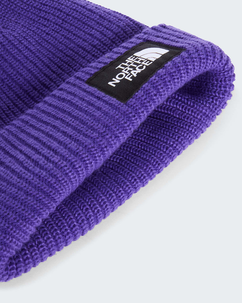 Load image into Gallery viewer, The North Face Kids' Salty Lined Beanie Peak Purple NF0A8CGSNL4
