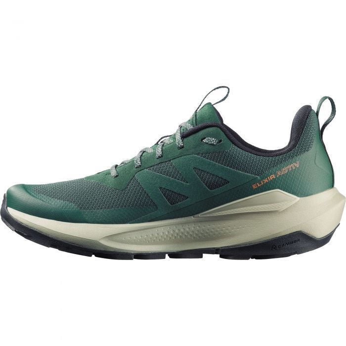 Load image into Gallery viewer, Salomon Men's Elixir Activ Gore-Tex Shoes Scarab/Green Gables/Chili L49229800
