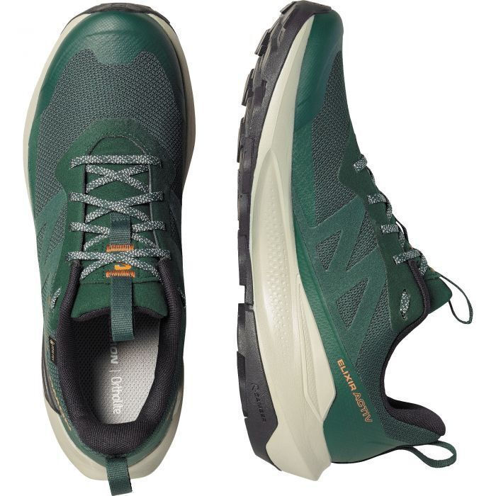 Load image into Gallery viewer, Salomon Men's Elixir Activ Gore-Tex Shoes Scarab/Green Gables/Chili L49229800
