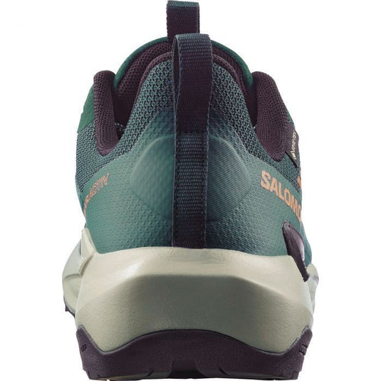 Salomon Men's Elixir Activ Gore-Tex Shoes Scarab/Green Gables/Chili L49229800