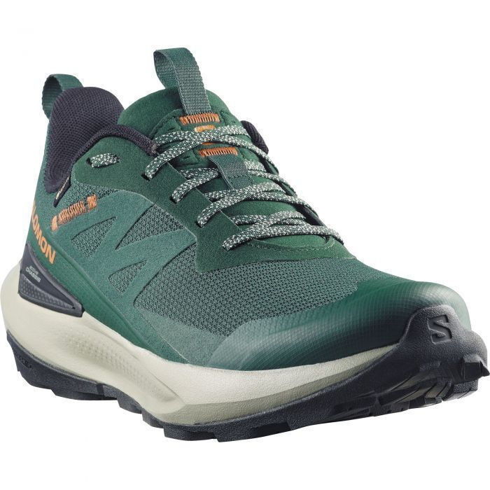 Load image into Gallery viewer, Salomon Men's Elixir Activ Gore-Tex Shoes Scarab/Green Gables/Chili L49229800
