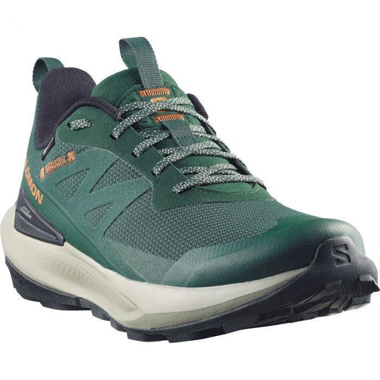 Salomon Men's Elixir Activ Gore-Tex Shoes Scarab/Green Gables/Chili L49229800