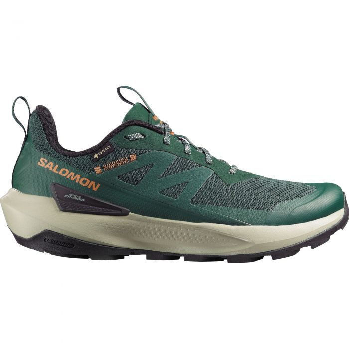 Load image into Gallery viewer, Salomon Men's Elixir Activ Gore-Tex Shoes Scarab/Green Gables/Chili L49229800
