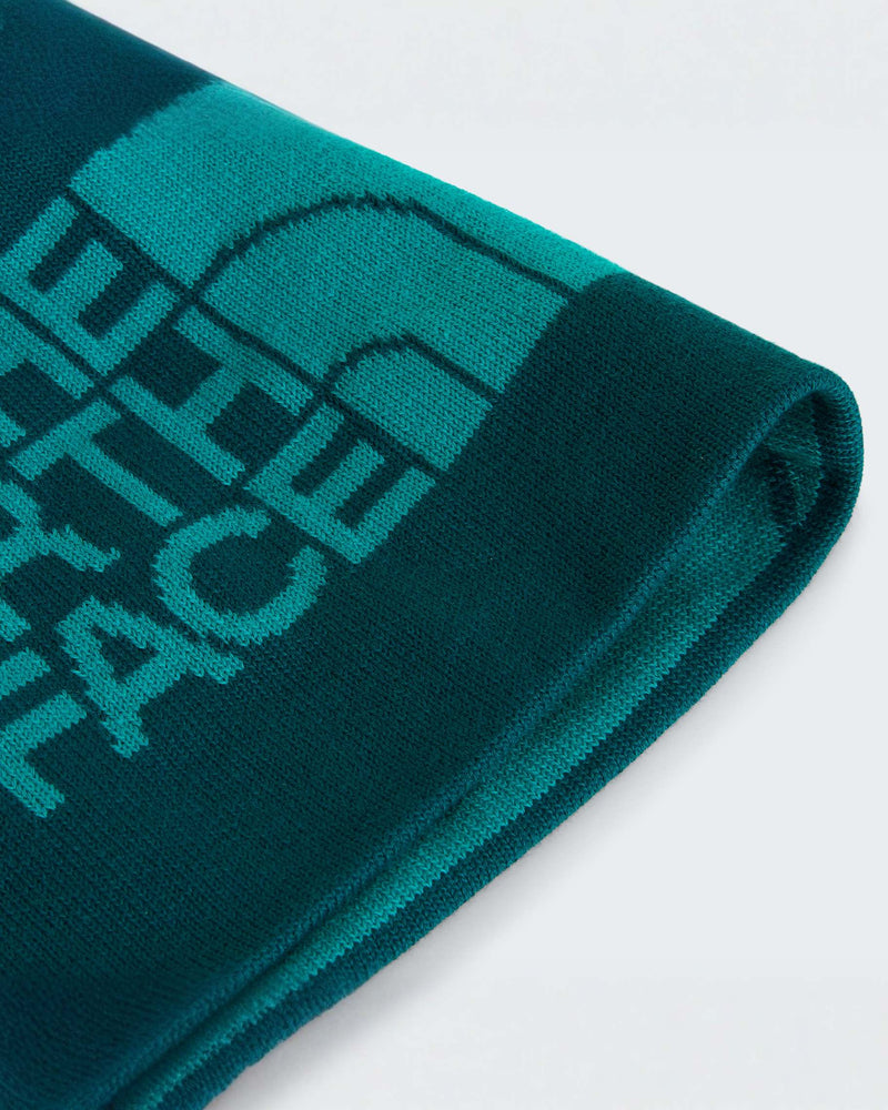 Load image into Gallery viewer, The North Face Unisex Reversible Highline Beanie Pacific Teal-Restorative Teal-Graphic NF0A7WLAVU1
