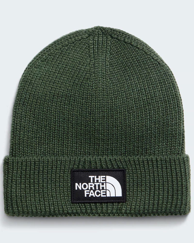 Load image into Gallery viewer, The North Face Unisex TNF Logo Cuffed Beanie Bottle Green NF0A8CHENLW
