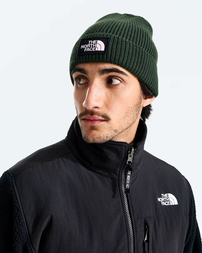 Load image into Gallery viewer, The North Face Unisex TNF Logo Cuffed Beanie Bottle Green NF0A8CHENLW

