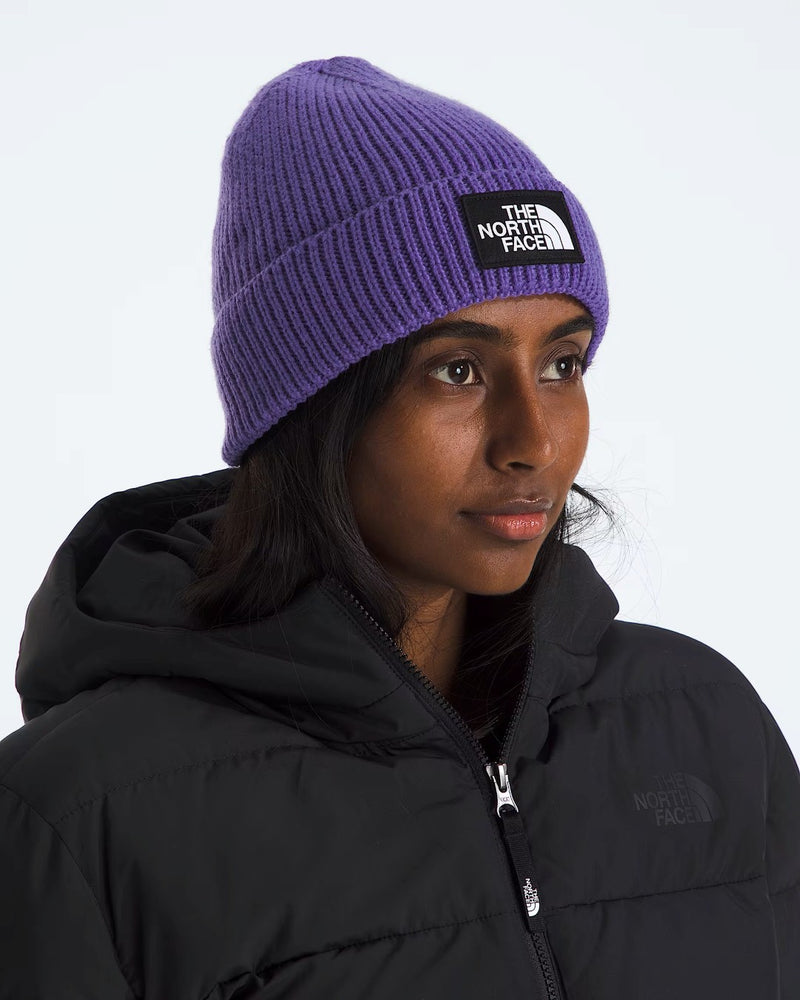 Load image into Gallery viewer, The North Face Unisex TNF Logo Cuffed Beanie Peak Purlpe NF0A8CHENL4
