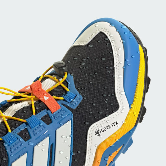 Adidas Terrex Men's Skychaser GORE-TEX Hiking Shoes Core Black/Ray Blue/Core Black JR9423