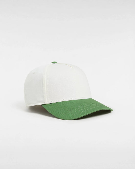 Vans Data System Strapback Hat Fairway VN000HSCBR1