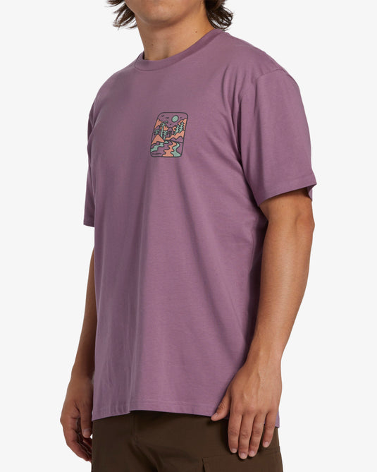 Billabong Men's Shine T-Shirt Plum ABYZT02303-PSN0
