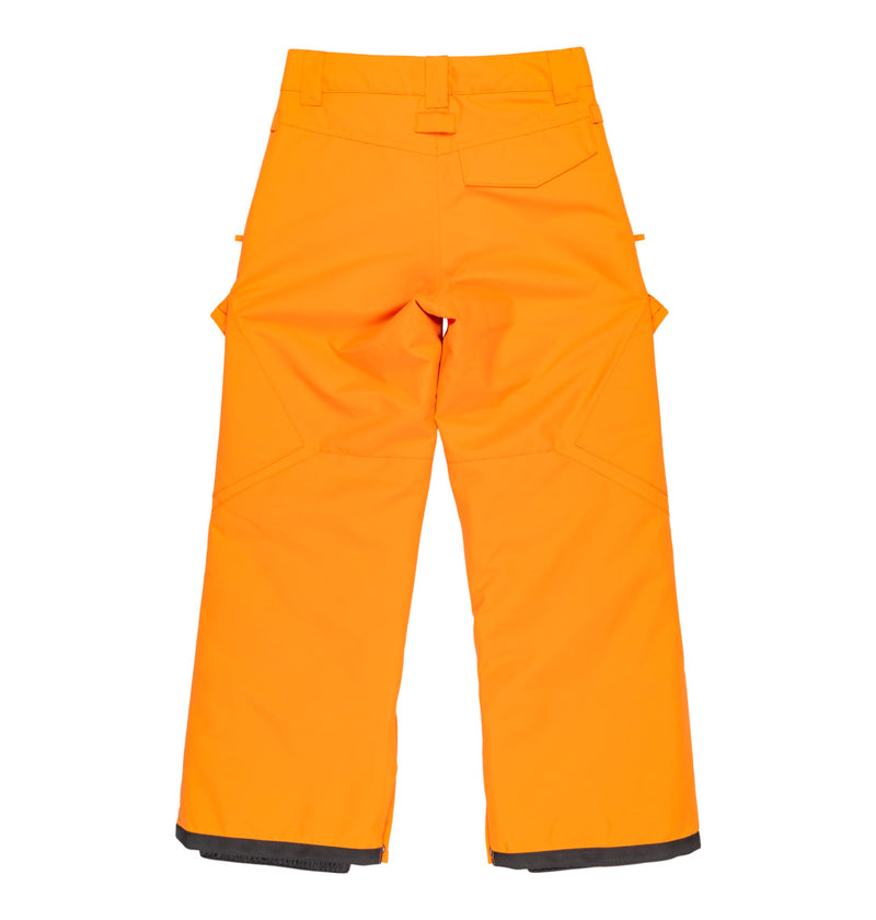 Load image into Gallery viewer, DC Kids&#39; Banshee Technical Snow Pants Boys 8-16 Oriole ADBTP03011-NLS0
