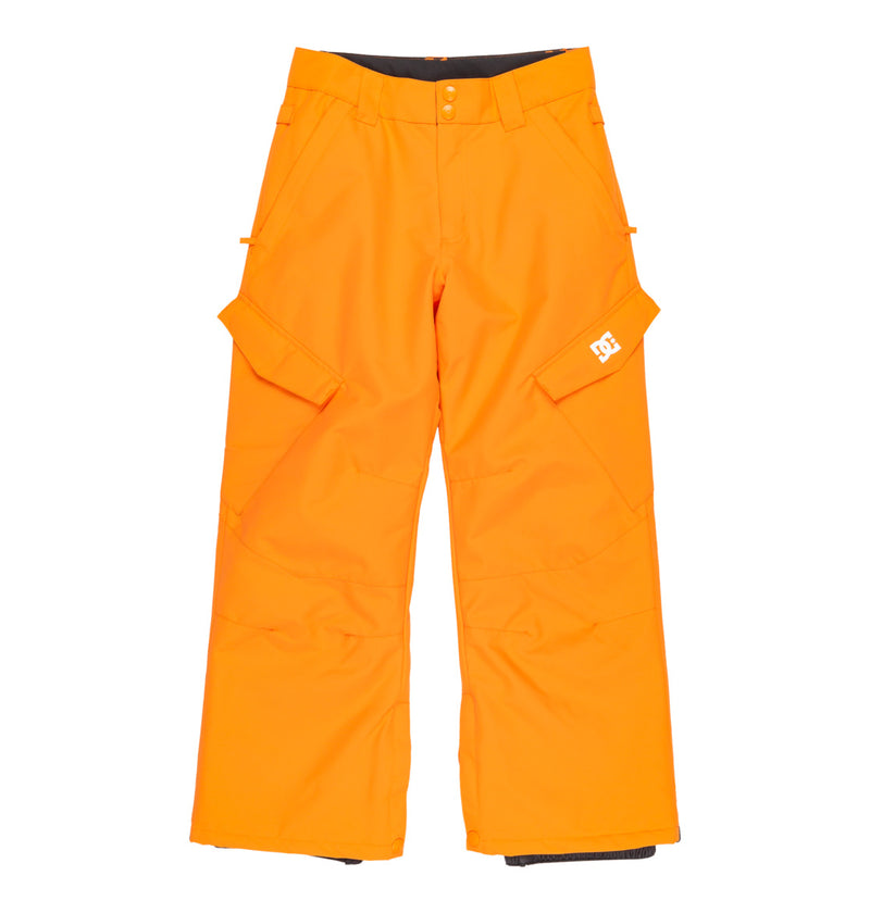 Load image into Gallery viewer, DC Kids&#39; Banshee Technical Snow Pants Boys 8-16 Oriole ADBTP03011-NLS0
