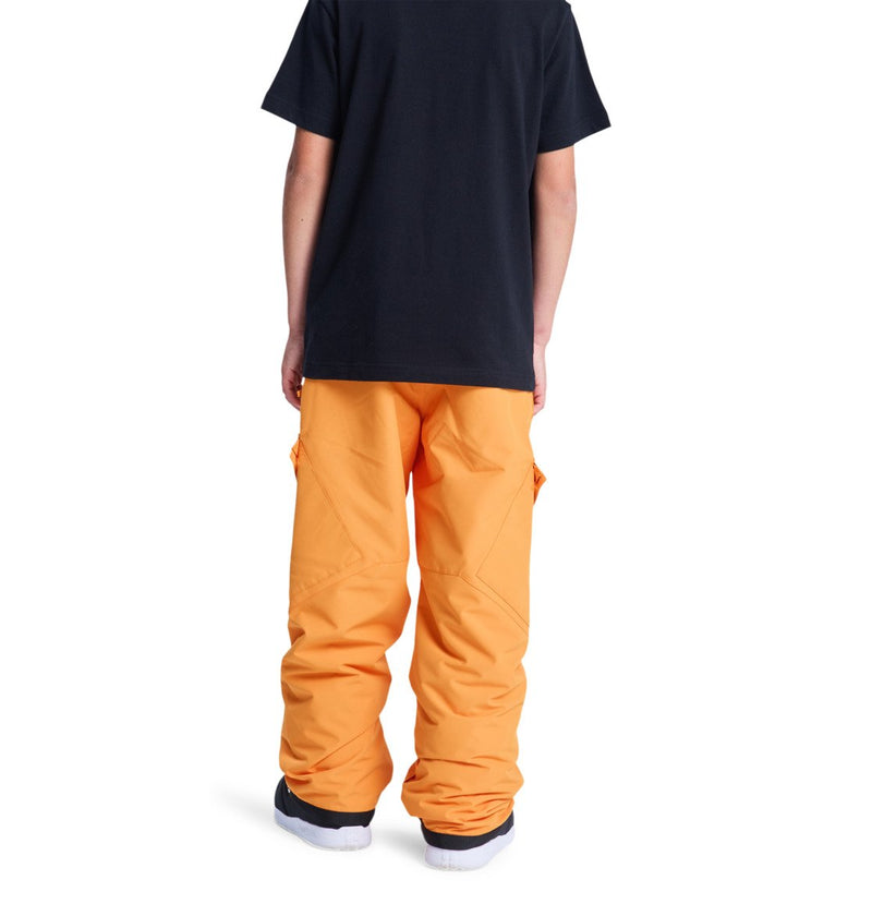 Load image into Gallery viewer, DC Kids&#39; Banshee Technical Snow Pants Boys 8-16 Oriole ADBTP03011-NLS0
