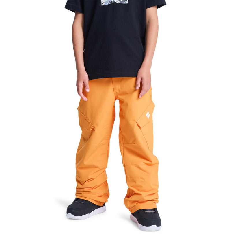 Load image into Gallery viewer, DC Kids&#39; Banshee Technical Snow Pants Boys 8-16 Oriole ADBTP03011-NLS0
