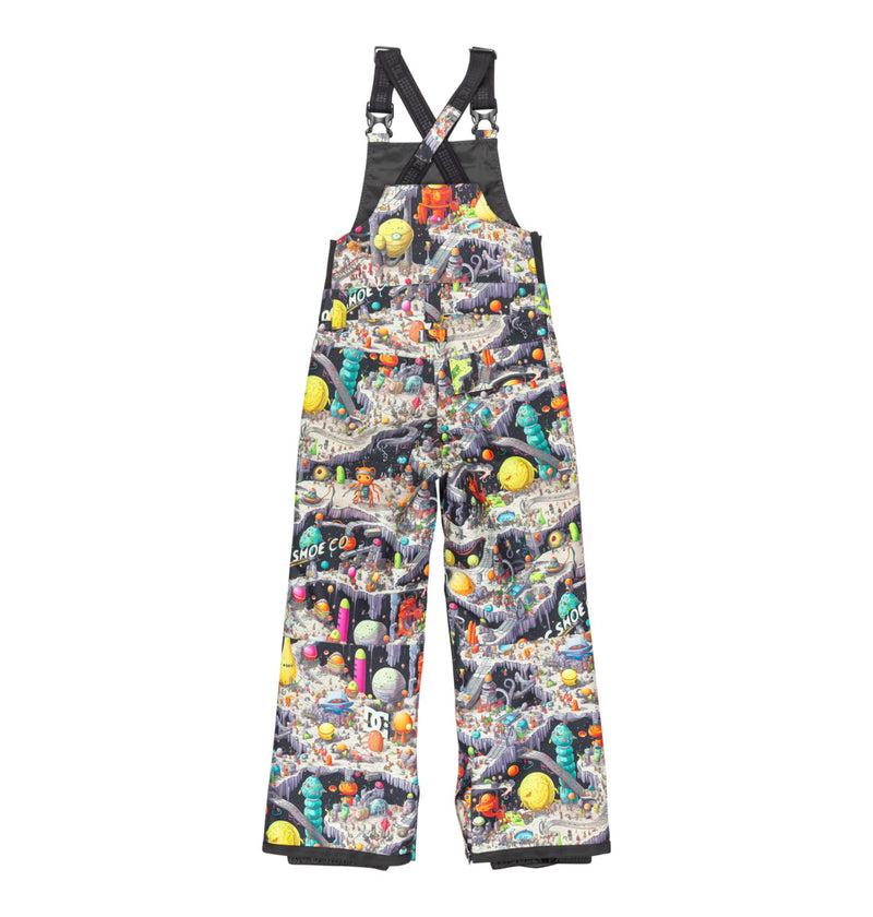 Load image into Gallery viewer, DC Kids' Roadblock Technical Snow Bib (8-12 Years) Outer World Black ADBTP03013-KTA4
