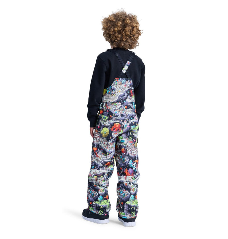Load image into Gallery viewer, DC Kids' Roadblock Technical Snow Bib (8-12 Years) Outer World Black ADBTP03013-KTA4
