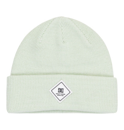 Load image into Gallery viewer, DC Women&#39;s Label Beanie Pale Aqua ADJHA03018-GCP0
