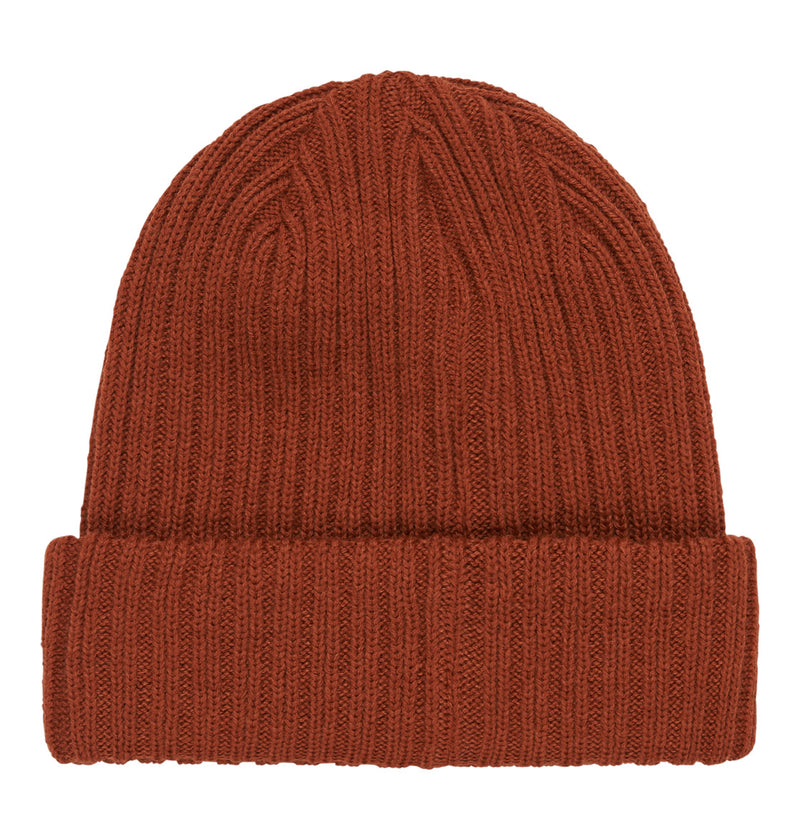 Load image into Gallery viewer, DC Men&#39;s Fish N Destroy 2 Beanie Picante ADYHA04076_NQV0
