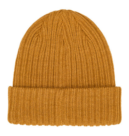 DC Men's Fish N Destroy 2 Beanie Golden Brown ADYHA04076_CPD0