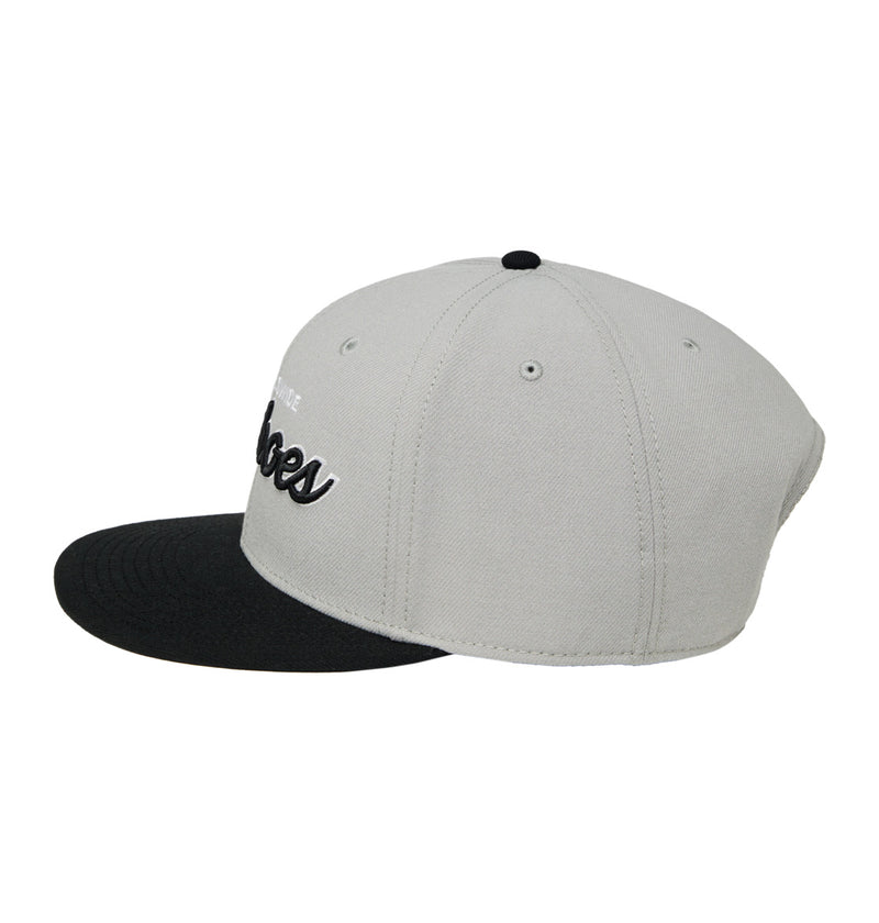 Load image into Gallery viewer, DC Men&#39;s Tailgate Snapback Cap High Rise ADYHA04239-SGR0
