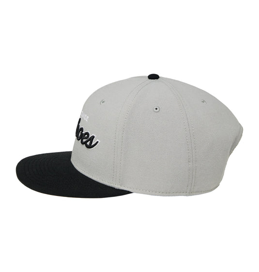 DC Men's Tailgate Snapback Cap High Rise ADYHA04239-SGR0
