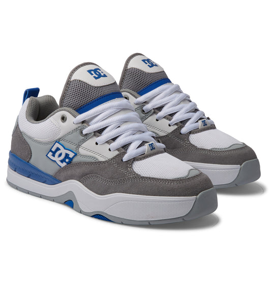 DC Men's Ascend Lace up Shoes White/Grey/Blue ADYS100844-XWSB