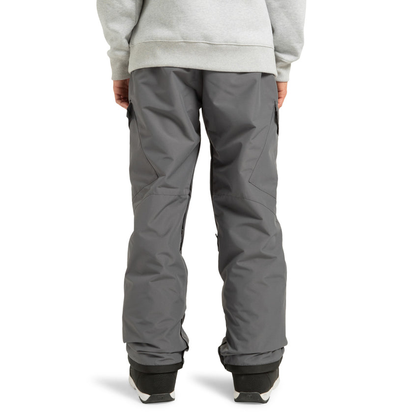 Load image into Gallery viewer, DC Men&#39;s Banshee Technical Snow Pants Magnet ADYTP03042-KZL0
