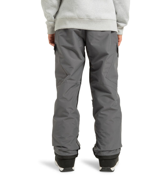 DC Men's Banshee Technical Snow Pants Magnet ADYTP03042-KZL0
